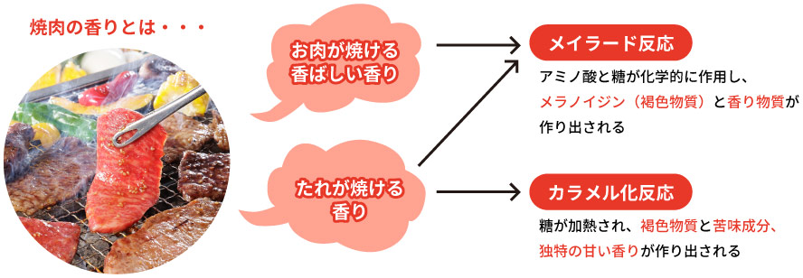 焼肉の香りとは…。お肉が焼ける香ばしい香り。たれが焼ける香り。メイラード反応：アミノ酸と糖が化学的に作用し、メラノイジン（褐色物質）と香り物質が作り出される。カラメル化反応：糖が加熱され、褐色物質と苦味成分、独特の甘い香りが作り出される。