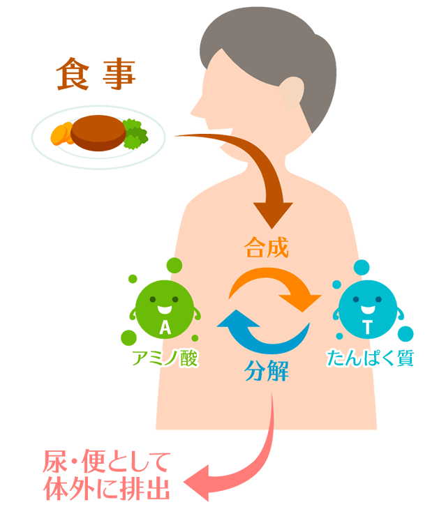 ロコモにならない元気な体力づくり | エバラ食品が考えるロコモ対策 | エバラ食品