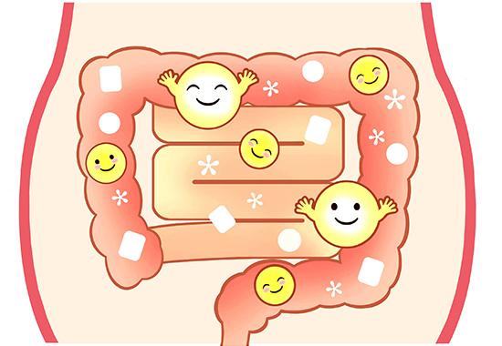 発酵パワーで腸を元気に