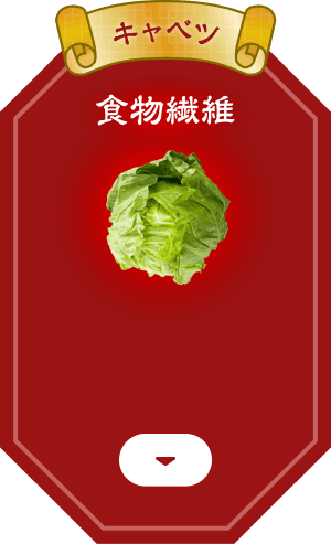 キャベツ 食物繊維