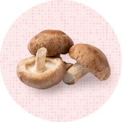 しいたけ