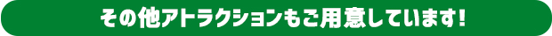 その他アトラクションもご用意しています!