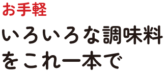 お手軽　いろいろな調味料をこれ一本で