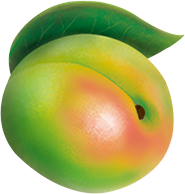 うめ
